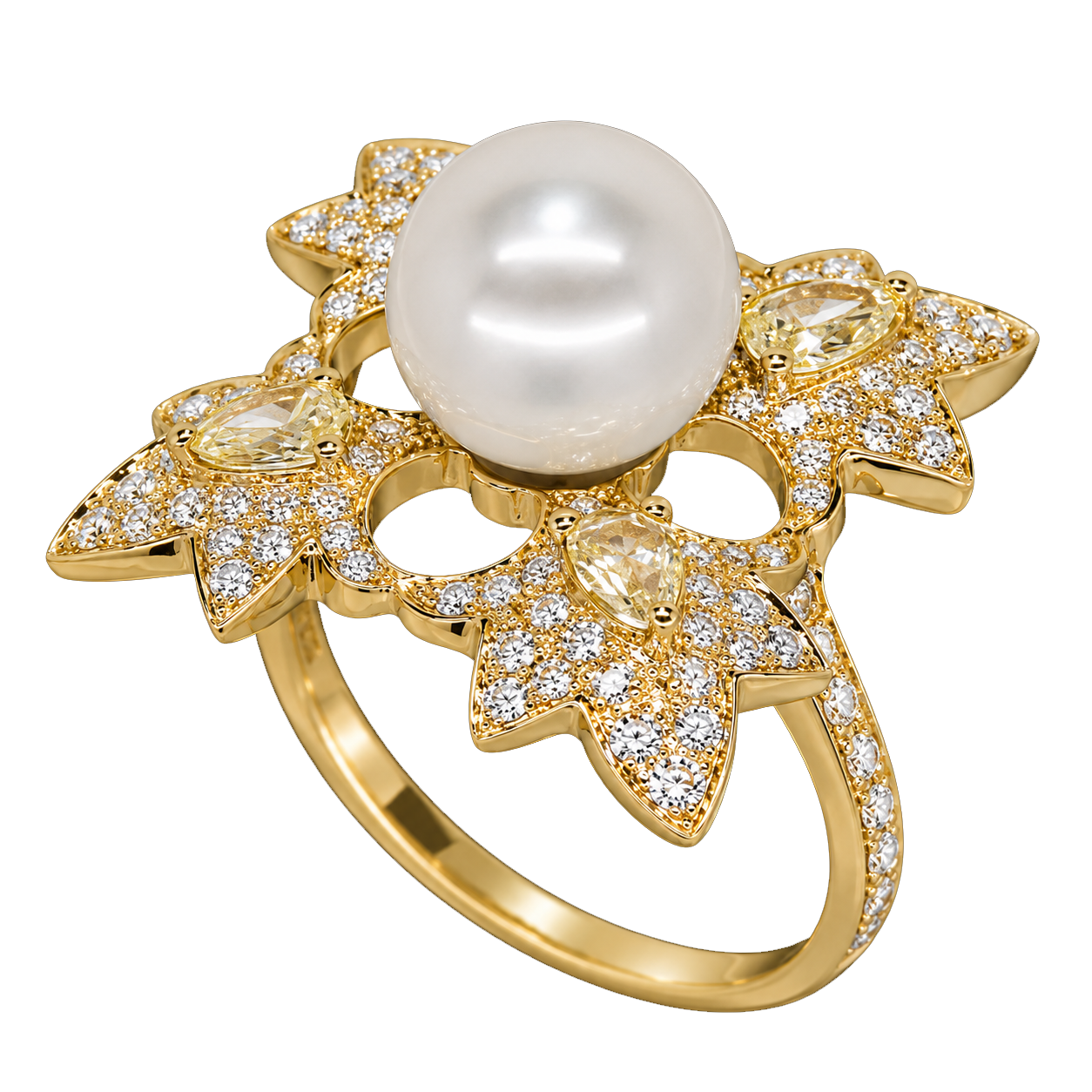 ring (118)
