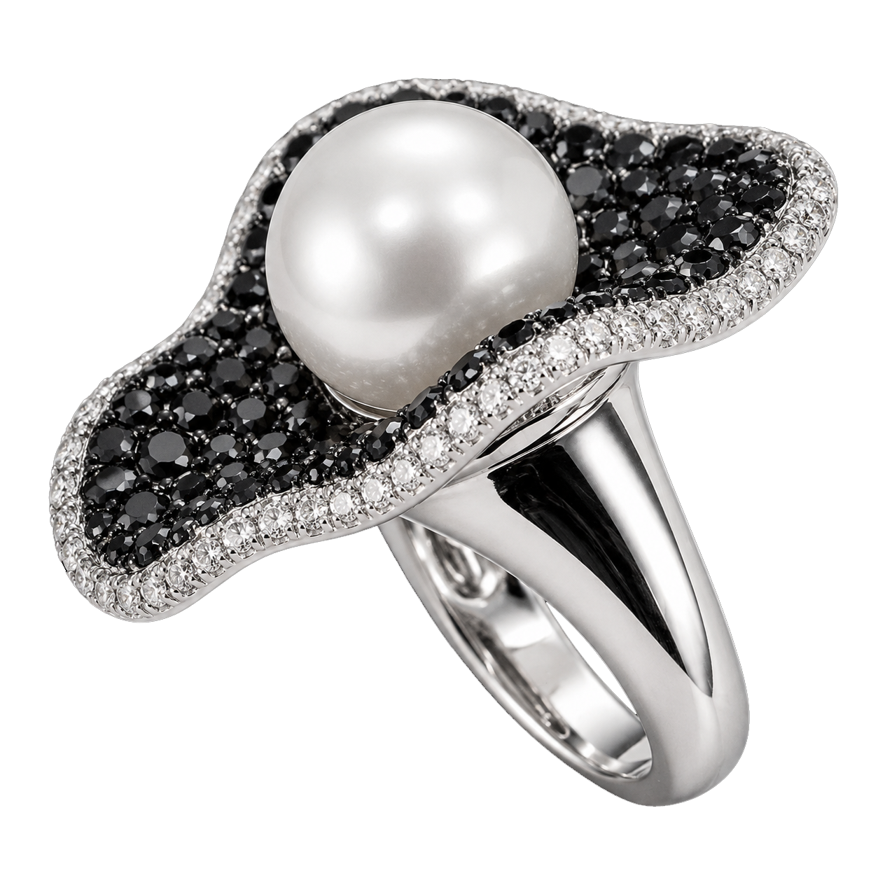 ring (79)